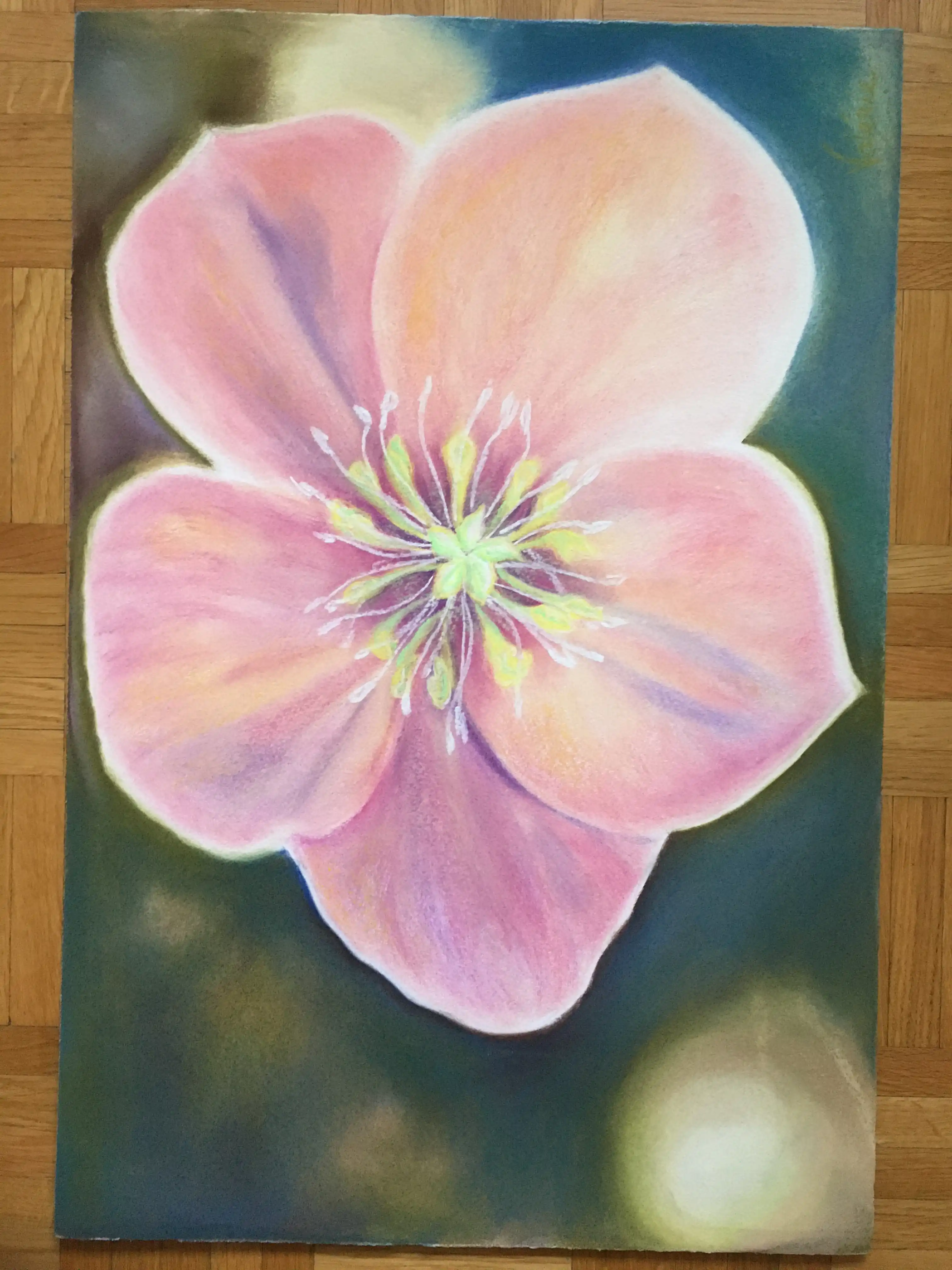Gemälde einer rosa Blüte einer Blume von Valérie Seignez